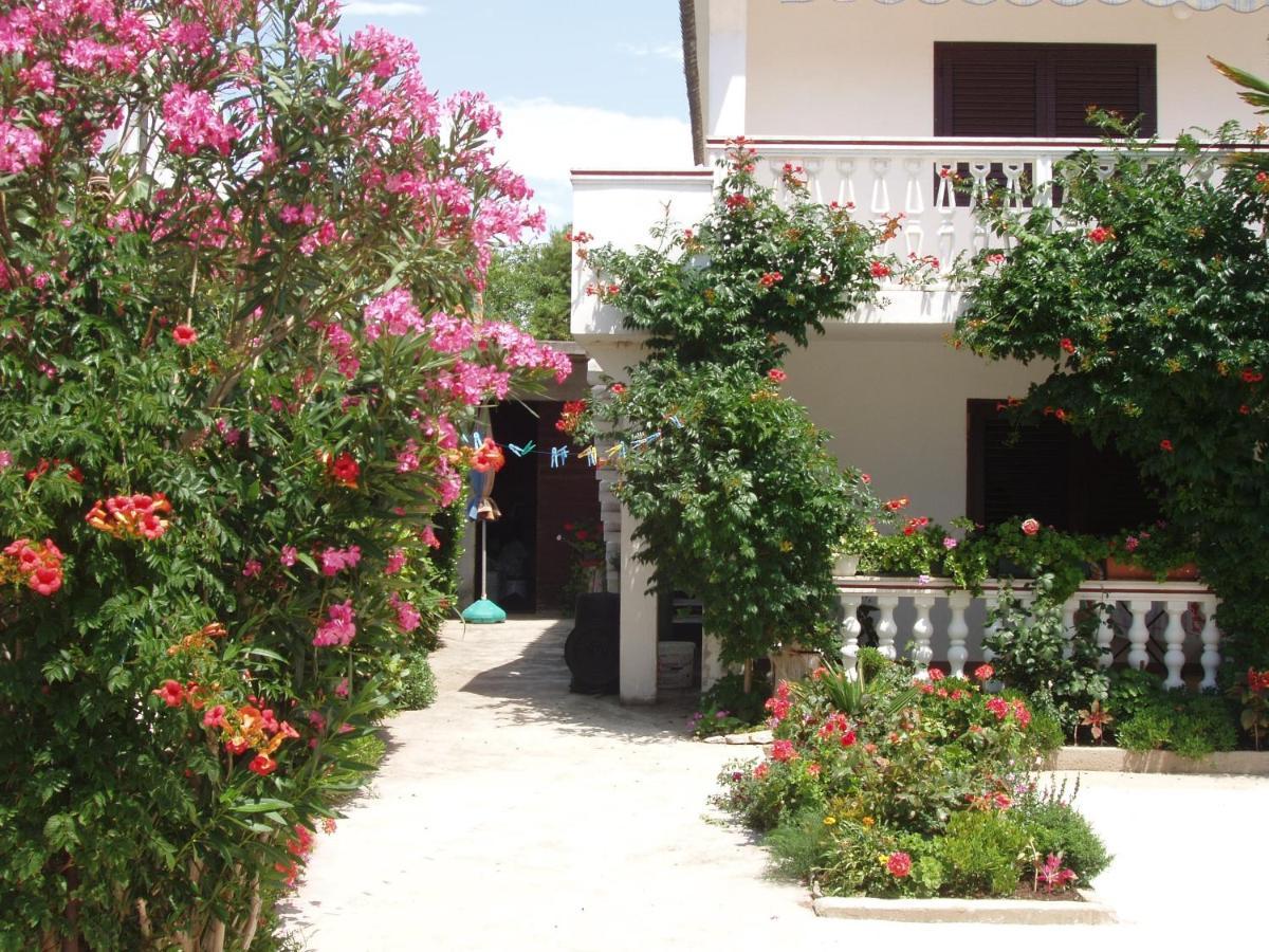 Apartments With A Parking Space Povljana, Pag - 228 Exteriör bild